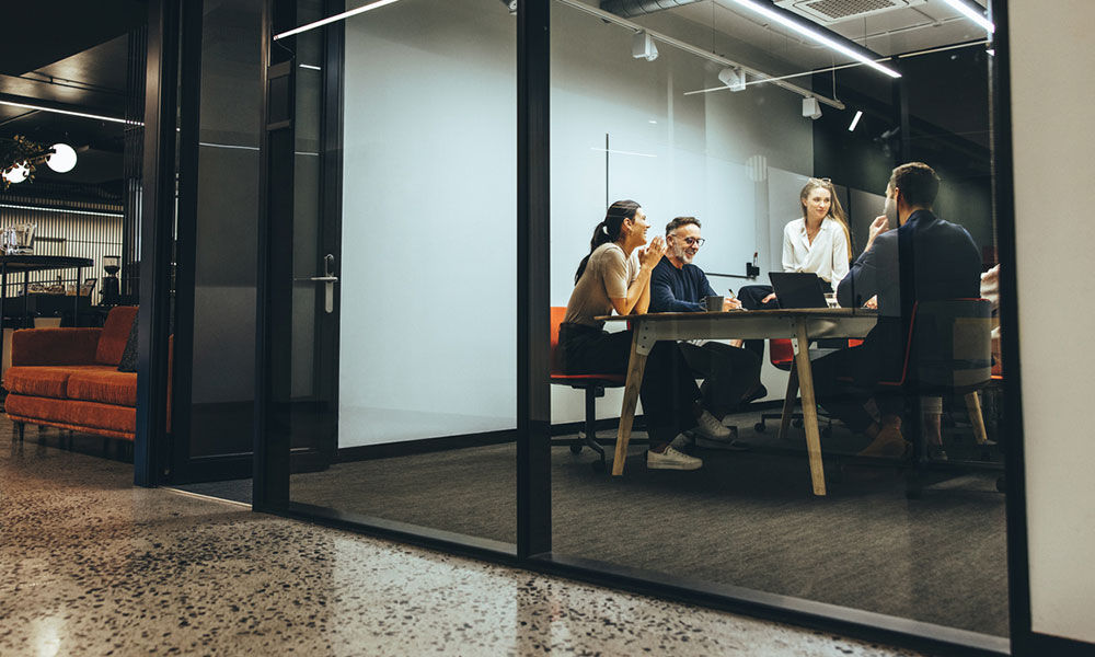 Business meeting in conference room